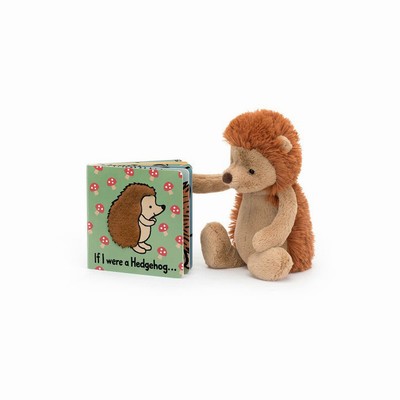 Jellycat If I Were A Hedgehog Board and Bashful Hedgehog Medium USA | 81297YDMR